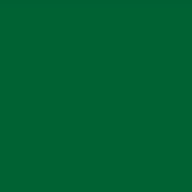 Cuaderno Escolar Tapa Dura Exito N°1 16x21 Forrado Verde 100 Hojas Rayadas